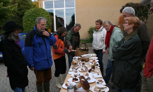 Pilzexperte Harry Anderson (2. v. L.) stellt die gefundenen Pilze vor. Foto: Diethelm Krause-Hotopp