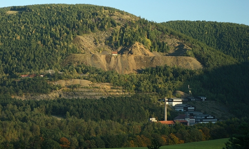 Fichtenmonokulturen am Rammelsberg und seiner Umgebung auf Waldstandorten, auf denen von Natur aus Buchen wachsen würden. Foto: Siegfried Wielert