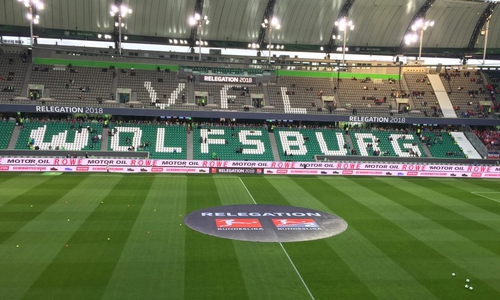 "Alle Flossen sind gedrückt." Foto: Frank Vollmer