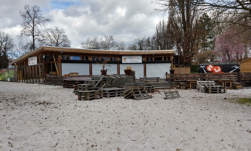 Der Strandwolf sieht verwaist aus. Foto: Werner Heise