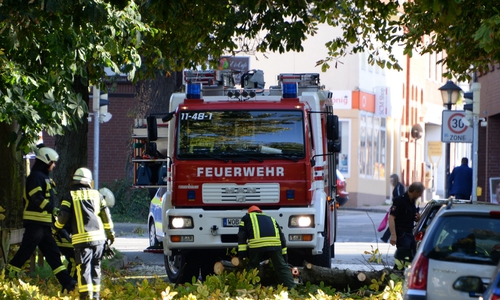 "Sebastian" sorgte gestern Nachmittag für einen Einsatz in Fallersleben. Fotos: Feuerwehr Fallersleben