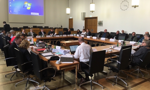 Im Planungs- und Umweltausschuss wurde am Mittwoch über Kammmolch und Knoblauchkröte heiß diskutiert. Foto: Alexander Dontscheff