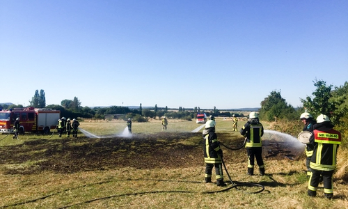 Bei Westerode kam es am Donnerstag zu einem Flächenbrand. Fotos: Feuerwehr Bad Harzburg