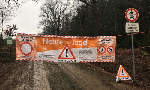 Das Forstamt Wolfenbüttel bittet Verkehrsteilnehmer um erhöhte Aufmerksamkeit in den bejagten Gebieten. Foto: Nds. Forstamt Wolfenbüttel