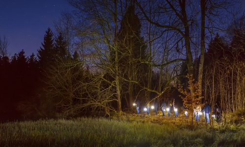 Lichtwanderung. Foto: Kur- Tourismus- und Wirtschaftsbetriebe der Stadt Bad Harzburg GmbH