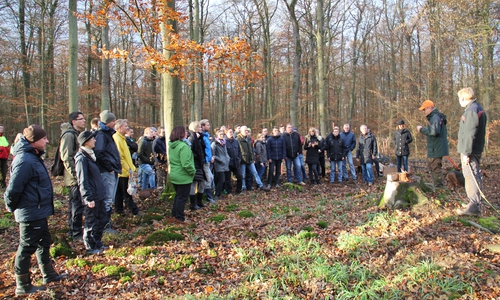 Foto: Niedersächsische Landesforsten