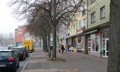 Was wird mit den Linden in der Berliner Straße? Foto: Alexander Panknin