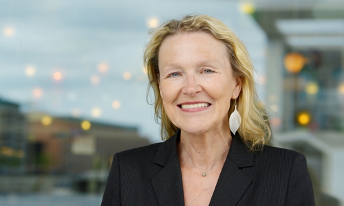 Grüne wollen in einem  Gespräch den Risiken eines Zwischenlagers für den rückgeholten Asse-Atommüll auf den Grund gehen. Als Referentin ist auch MdB Sylvia Kotting-Uhl zu Gast. Foto: Privat