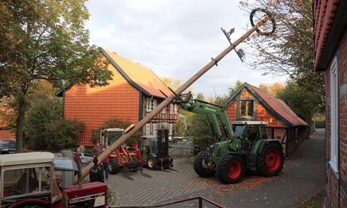Andreas Faber lässt den Baum herunter. Foto: Jürgen Lingelbach