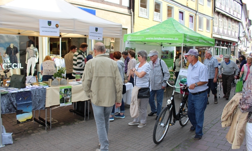 Zahlreiche Besucher kamen zum Wolfenbütteler Umweltmarkt. Fotos: Max Förster