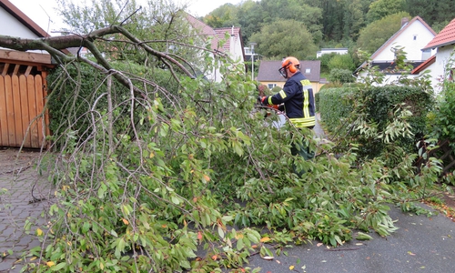 Besonders mit umgestürzten Bäumen hatten die Wehren in der Region zu tun während und nach dem Sturm. Fotos: Feuerwehr Goslar
