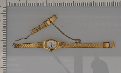 Wem gehören diese Schmuckstücke? Foto: Polizei