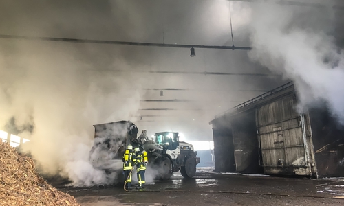 Die Feuerwehr hatte die Lage schnell im Griff. Fotos: Tobias Paschwitz