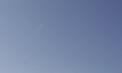 Die Segelflieger wollen wieder hoch hinaus. Symbolbild Foto: Robert Braumann