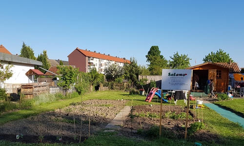 Der Salawo-Garten ist im Kleingärtnerverein Katzenmeer über den Eingang „Am Bache“ zu erreichen und hat die Garten-Nummer 104. Foto: AWO - Kreisverband Salzgitter-Wolfenbüttel e.V.