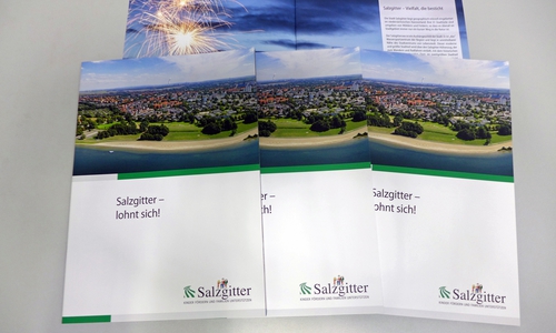 So sieht das Gespräch aus. Foto: Stadt Salzgitter