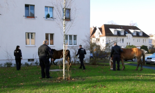 Foto: Polizei Braunschweig