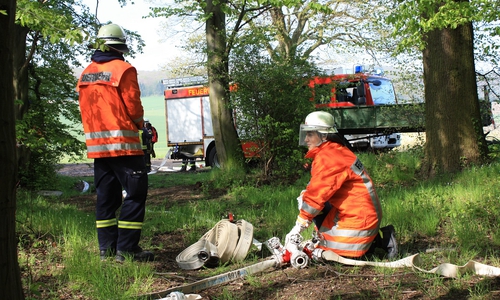 Die Feuerwehr bei der Übung am Waldrand von Klein Döhren. Fotos: Feuerwehr Goslar