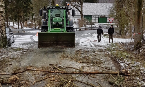 Das Totholz wurde mit schwerem Gerät abtransportiert. Foto: Gemeinde Evessen