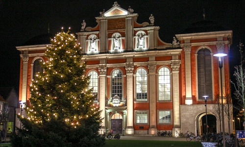 Die Stadt such einen Weihnachtsbaum, der vor der Trinitatiskirche aufgestellt wird.