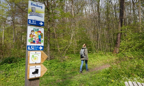 Der Ausbau und die Vermarktung von Wanderwegen ist eines der Projekte der Lokalen Aktionsgruppe (LAG) „Grünes Band im Landkreis Helmstedt“. Symbolfoto: Amtshof Eicklingen
Planungsgesellschaft 