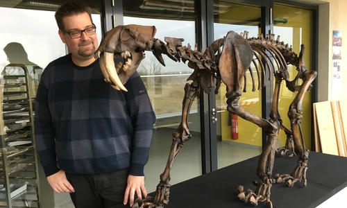 Dr. Felix Hillgruber hat das Skelett des Smilodon aus Tübingen abgeholt. Foto: Eva Sorembik