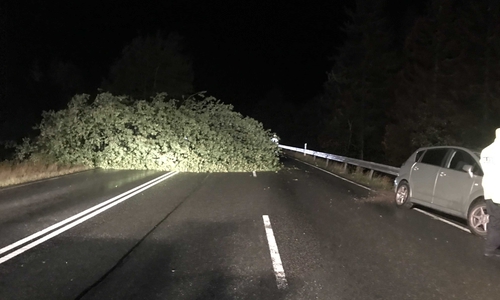 Durch den Baum kollidierte das Auto mit der Leitplanke. Fotos: Feuerwehr