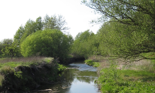 Foto: Landkreis Wolfenbüttel