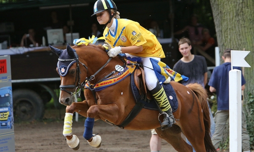 Zwei Tage lang haben Zuschauer die Möglichkeit, beim Gutsparkturnier Pferdesport der Extraklasse zu erleben. Foto: Privat
