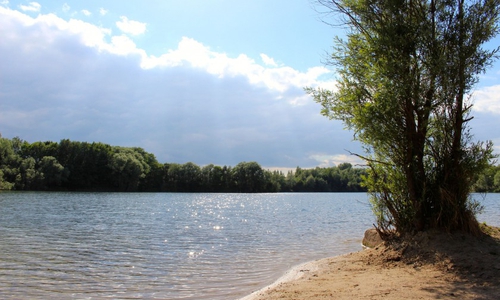 Am Bienroder See kann voraussichtlich ab 2019 frisch drauflos gegrillt werden. Archivfoto: Sina Rühland