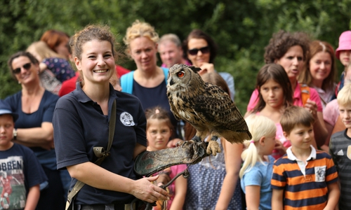 Ein besonderer Tag erwartet die Besucher auf dem Sommerfest im OTTER-ZENTRUM. Fotos: Aktion Fischotterschutz e.V.  / Jan Piecha