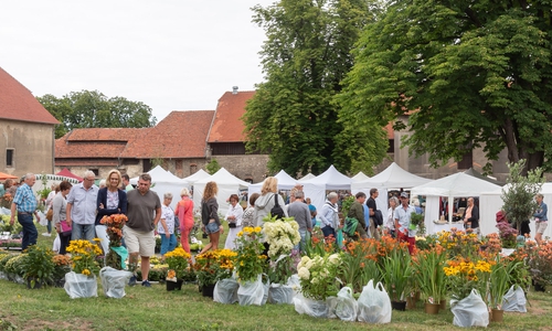 Ein Riesensortiment an Sommerpflanzen erwartete die Besucher des Kunsthandwerkermarktes. Fotos: Tanja Bischoff