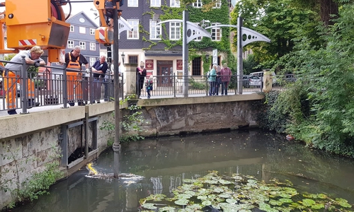 Die Ursache für weißliche Flüssigkeit ist unbekannt. Foto: Feuerwehr