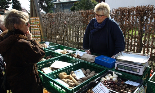 Am 9. April ist wieder Kartoffeltag im Gärtnermuseum Foto: Raedlein