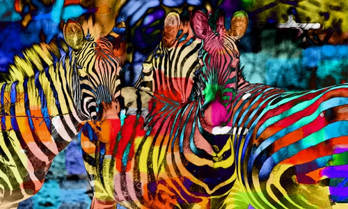 Finissage im Heimatmuseum Hornburg. Hier das Ausstellungsstück Zebra Foto: Privat