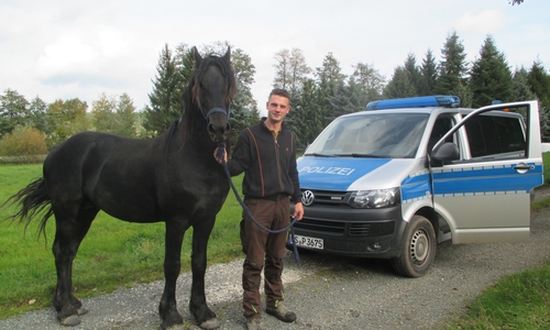 Glücklicherweise konnte das Pferd von dem zufällig vorbeikommenden Langelsheimer Timo Ziemann eingefangen werden. Foto: Polizei Goslar
