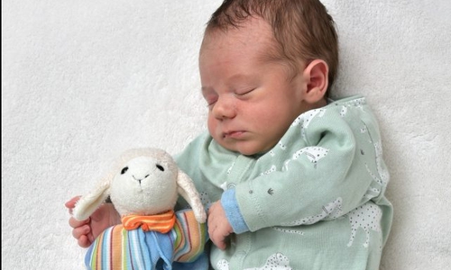Willkommen, Franz Twelckmeyer. Foto: babysmile24.de
