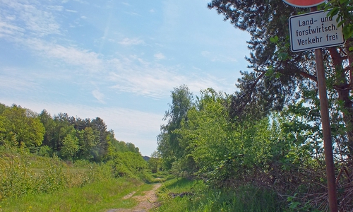 Lüneburger Heerstraße im Bereich der Kreuzung mit der Kreisstraße 15 (Neue Breite). Foto: Klaffehn