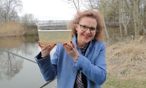 Vom kleinen ins große Gewässer: Alexa von der Brelje, Sprecherin der Sparkasse Gifhorn-Wolfsburg, nahm die Glasaale an der Gifhorner Ise in Empfang. Fotos: Sparkasse Gifhorn-Wolfsburg