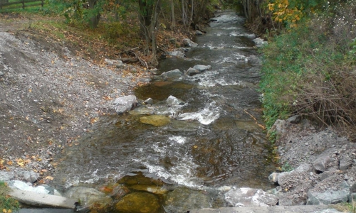 Die Umgestaltung ist ein Schritt zum Einhalt der Europäischen Wasserrahmenrichtlinie. Fotos: Stadt Goslar
