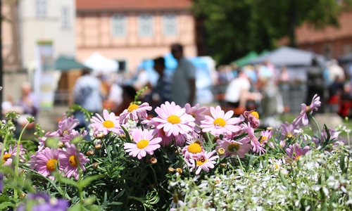Blumen und Kräuter sorgten auf dem gesamten Schlossplatz für zahlreiche faszinierende Düfte. Fotos: Julian Bergmeier
