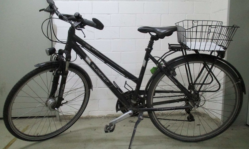 Wem gehört das Damensportrad "Gudereit"? Hinweise an die Polizei Braunschweig. Foto: Polizei