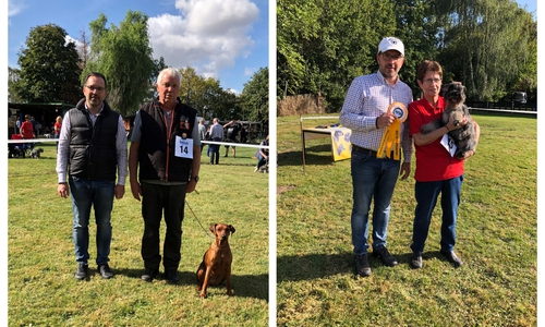 Links: Zuchtrichter Nico Kersten, Manfred Meyer Nikita von der Südheide. Rechts: von links: Zuchtrichter Nico Kersten, Johanna Hartmann und Tobi vom Räuberle. Fotos: Andreas Glier