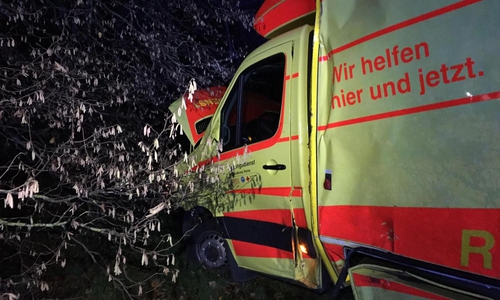 Der Rettungswagen kam vor einem Baum auf einer Wiese zum Stehen. Fotos: aktuell24/BM