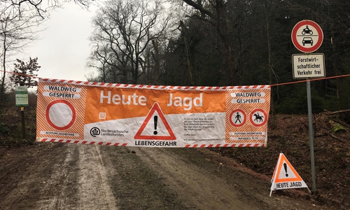 Autofahrer bitte mit besonderer Aufmerksamkeit fahren und auf Wild und Jagdhunde achten! Foto: Niedersächsische Landesforsten