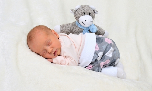 Willkommen, Charlotte Werner. Foto: babysmile24.de