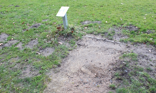 Schlechter Zustand einer Abwurffläche im Gutspark Linden. Foto: Max Förster