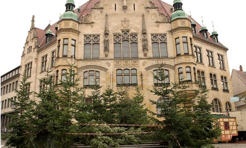 Der Weihnachtswald wird aufgebaut. Foto: Stadt Helmstedt