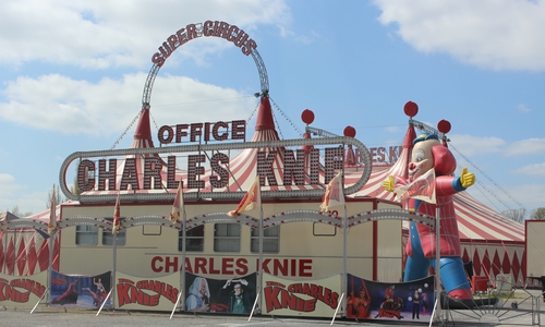 PETA wirft dem Zirkus Charles Knie vor, die Tiere einer regelrechten „Stresstournee“ auszusetzen - das wollen die Veranwortlichen so nicht stehenlassen. Foto: Archiv