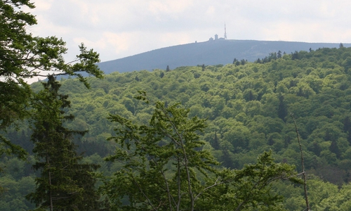 Symbolfoto: Kur- Tourismus-   und Wirtschaftsbetriebe  der Stadt Bad Harzburg GmbH